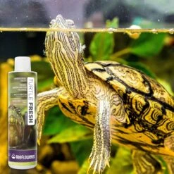 Reeflowers Turtle Fresh RemAmmonia Fish Aquarium Water Conditioner, 2.9-oz Bottle 15 Reeflowers Turtle Fresh RemAmmonia Fish Aquarium Water Conditioner, 2.9-oz Bottle -Plax Penn Shop 893598 PT6. AC SS1800 V1688749164