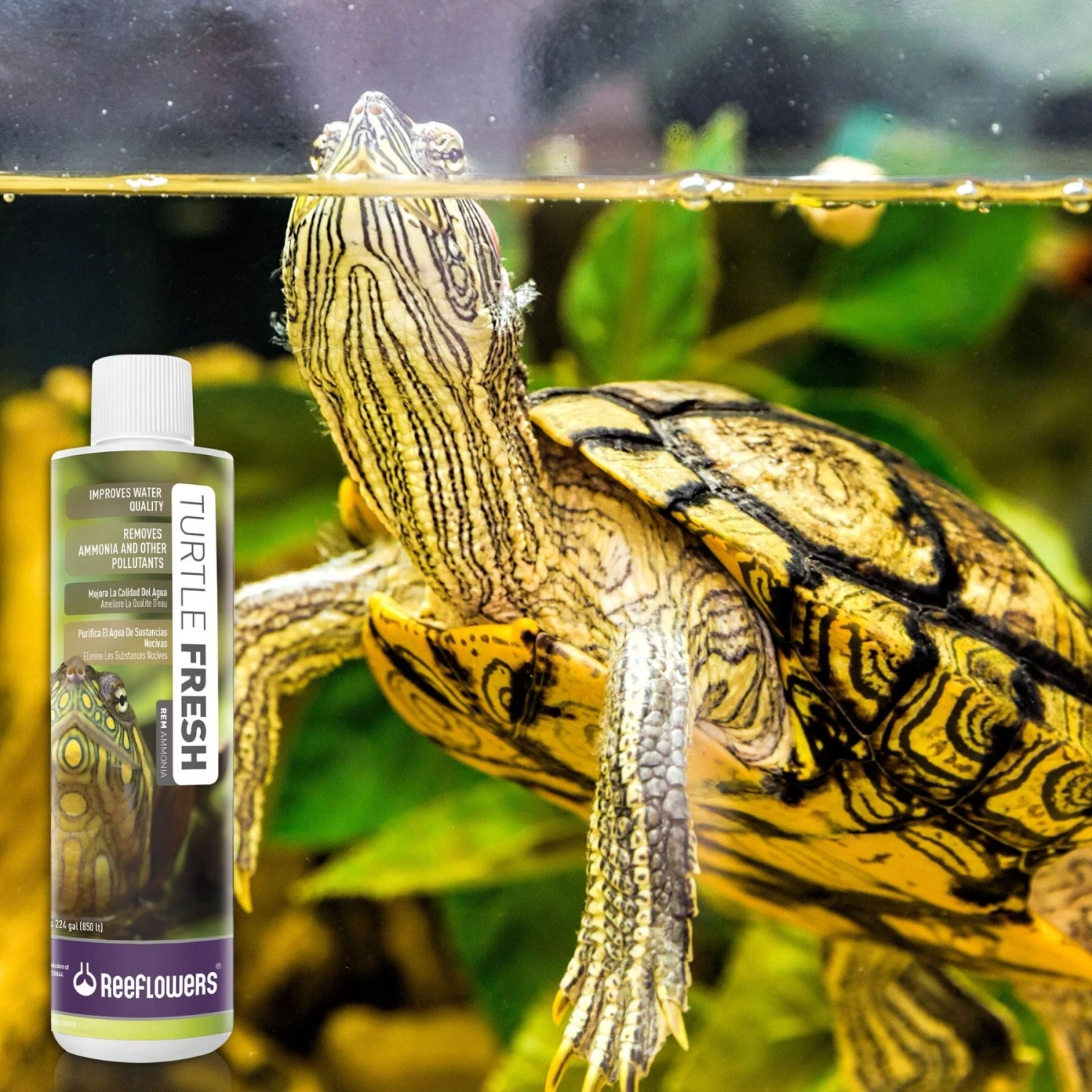 Reeflowers Turtle Fresh RemAmmonia Fish Aquarium Water Conditioner, 2.9-oz Bottle 9 Reeflowers Turtle Fresh RemAmmonia Fish Aquarium Water Conditioner, 2.9-oz Bottle - Image 7