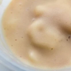 Josh's Frogs Microworm Panagrellus Culture, 16-oz -Plax Penn Shop 925742 PT4. AC SS1800 V1691007128