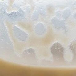 Josh's Frogs Microworm Panagrellus Culture, 16-oz -Plax Penn Shop 925742 PT5. AC SS1800 V1691006636