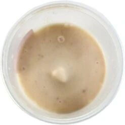 Josh's Frogs Microworm Panagrellus Culture, 16-oz -Plax Penn Shop 925742 PT6. AC SS1800 V1691006666