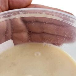 Josh's Frogs Microworm Panagrellus Culture, 16-oz -Plax Penn Shop 925742 PT7. AC SS1800 V1691006575