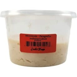 Josh's Frogs Microworm Panagrellus Culture, 16-oz -Plax Penn Shop 925742 PT8. AC SS1800 V1691006664