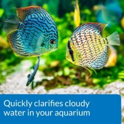API Accu-Clear Freshwater Aquarium Clarifier 12 API Accu-Clear Freshwater Aquarium Clarifier -Plax Penn Shop 94267 PT4. AC SS1800 V1570548737