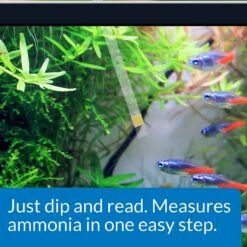 API Ammonia NH3/NH4 Freshwater & Saltwater Aquarium Test Strips 9 API Ammonia NH3/NH4 Freshwater & Saltwater Aquarium Test Strips -Plax Penn Shop 94269 PT3. AC SS1800 V1570548770