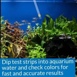 API Ammonia NH3/NH4 Freshwater & Saltwater Aquarium Test Strips 11 API Ammonia NH3/NH4 Freshwater & Saltwater Aquarium Test Strips -Plax Penn Shop 94269 PT5. AC SS1800 V1570548755