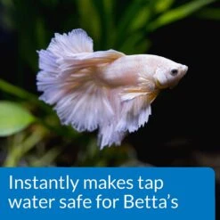 API Betta Aquarium Water Conditioner -Plax Penn Shop 94287 PT3. AC SS1800 V1570549027