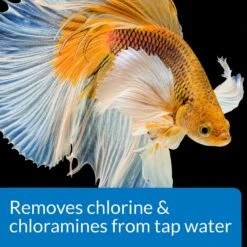 API Betta Aquarium Water Conditioner -Plax Penn Shop 94287 PT4. AC SS1800 V1570549059