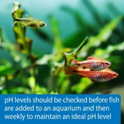 API PH Freshwater & Saltwater Aquarium Test Strips 15 API PH Freshwater & Saltwater Aquarium Test Strips -Plax Penn Shop 94301 PT5. AC SS1800 V1570549322