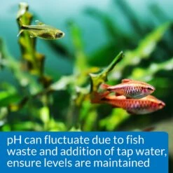API PH Freshwater Aquarium Test Kit -Plax Penn Shop 94358 PT5. AC SS1800 V1570549405
