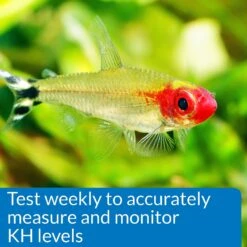 API KH Carbonate Hardness Fresh & Salt Water Aquarium Test Kit -Plax Penn Shop 94362 PT5. AC SS1800 V1570549398