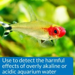 API High Range PH Fresh & Salt Water Aquarium Test Kit 13 API High Range PH Fresh & Salt Water Aquarium Test Kit -Plax Penn Shop 94367 PT5. AC SS1800 V1570549664