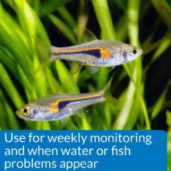 API Nitrate NO3 Freshwater & Saltwater Aquarium Test Kit 13 API Nitrate NO3 Freshwater & Saltwater Aquarium Test Kit -Plax Penn Shop 94369 PT5. AC SS1800 V1570549685