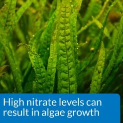 API Nitrate NO3 Freshwater & Saltwater Aquarium Test Kit 14 API Nitrate NO3 Freshwater & Saltwater Aquarium Test Kit -Plax Penn Shop 94369 PT6. AC SS1800 V1570549669