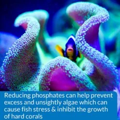 API Phosphate PO4 Freshwater & Saltwater Aquarium Test Kit -Plax Penn Shop 94371 PT7. AC SS1800 V1570549654