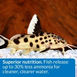 API Sinking Shrimp Pellets Bottom Feeder Fish Food -Plax Penn Shop 94374 PT5. AC SS1800 V1570549717