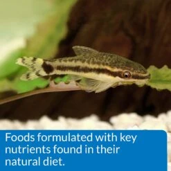 API Sinking Shrimp Pellets Bottom Feeder Fish Food -Plax Penn Shop 94374 PT6. AC SS1800 V1570549639