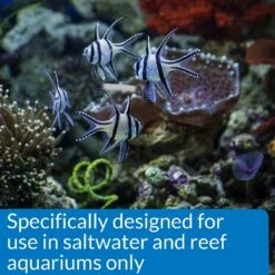 API Marine Stress Coat Saltwater Aquarium Water Conditioner -Plax Penn Shop 94398 PT6. AC SS1800 V1570549974