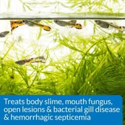 API E.M. Erythromycin Freshwater Fish Bacterial Disease Medication -Plax Penn Shop 94400 PT5. AC SS1800 V1570549994