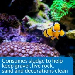 API Marine Stress Zyme Saltwater Aquarium Cleaning Solution 13 API Marine Stress Zyme Saltwater Aquarium Cleaning Solution -Plax Penn Shop 94403 PT5. AC SS1800 V1570549996