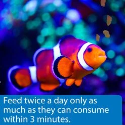 API Marine Optimal Protein Flakes Fish Food -Plax Penn Shop 94471 PT4. AC SS1800 V1570551776