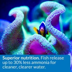 API Marine Optimal Protein Flakes Fish Food -Plax Penn Shop 94471 PT5. AC SS1800 V1570551815