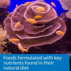 API Marine Optimal Protein Flakes Fish Food -Plax Penn Shop 94471 PT6. AC SS1800 V1570551723