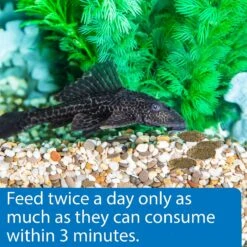 API Algae Eater Wafers Fish Food -Plax Penn Shop 94529 PT4. AC SS1800 V1570552368