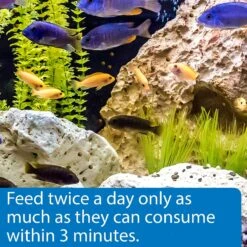 API Large Floating Pellets Cichlid Fish Food -Plax Penn Shop 94534 PT4. AC SS1800 V1570552621