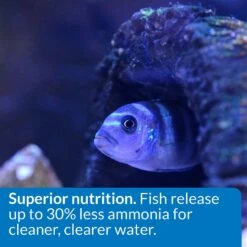 API Large Floating Pellets Cichlid Fish Food -Plax Penn Shop 94534 PT5. AC SS1800 V1570552635