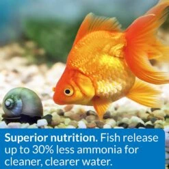 API Flakes Goldfish Fish Food 13 API Flakes Goldfish Fish Food -Plax Penn Shop 94539 PT5. AC SS1800 V1570552680