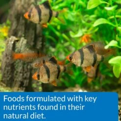 API Sinking Mini Pellets Tropical Fish Food -Plax Penn Shop 94546 PT5. AC SS1800 V1570552926