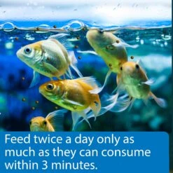 API Sinking Pellets Goldfish Food -Plax Penn Shop 94548 PT4. AC SS1800 V1570552946