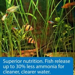 API Sinking Pellets Tropical Fish Food -Plax Penn Shop 94550 PT5. AC SS1800 V1570552982