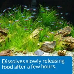 API Vacation Pyramid Fish Food Feeder -Plax Penn Shop 94597 PT5. AC SS1800 V1570553239