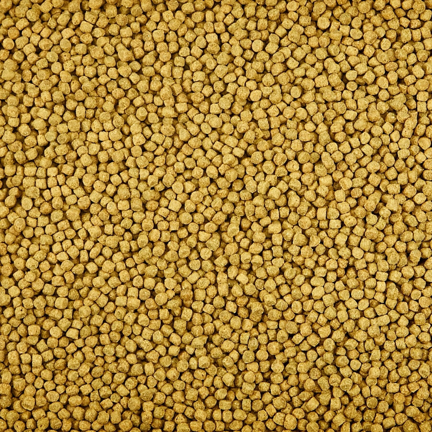 Kaytee Koi's Choice Premium Fish Food 7 Kaytee Koi's Choice Premium Fish Food - Image 5