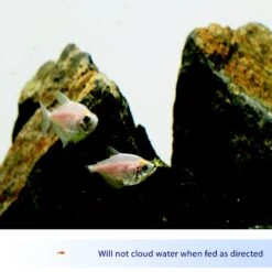 Aqueon Tropical Flakes Freshwater Fish Food -Plax Penn Shop 96886 PT3. AC SS1800 V1678205616