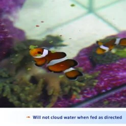 Aqueon Color Enhancing Marine Flakes Fish Food -Plax Penn Shop 96902 PT3. AC SS1800 V1638485266