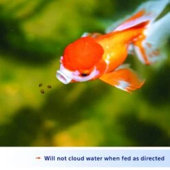 Aqueon Color Enhancing Goldfish Granules Fish Food -Plax Penn Shop 96910 PT2. AC SS1800 V1638491671