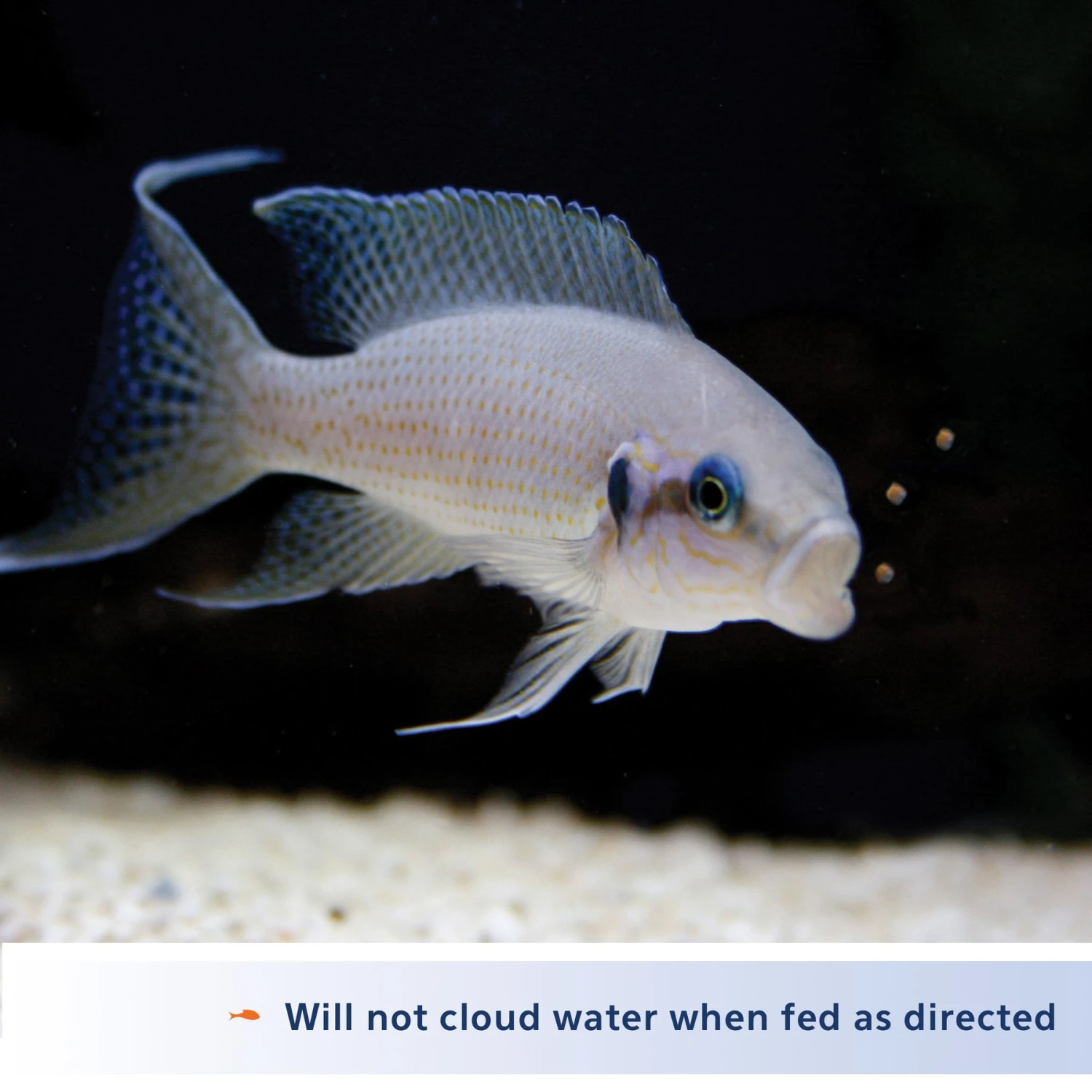 Aqueon Mini Cichlid Pellet Fish Food 6 Aqueon Mini Cichlid Pellet Fish Food - Image 4