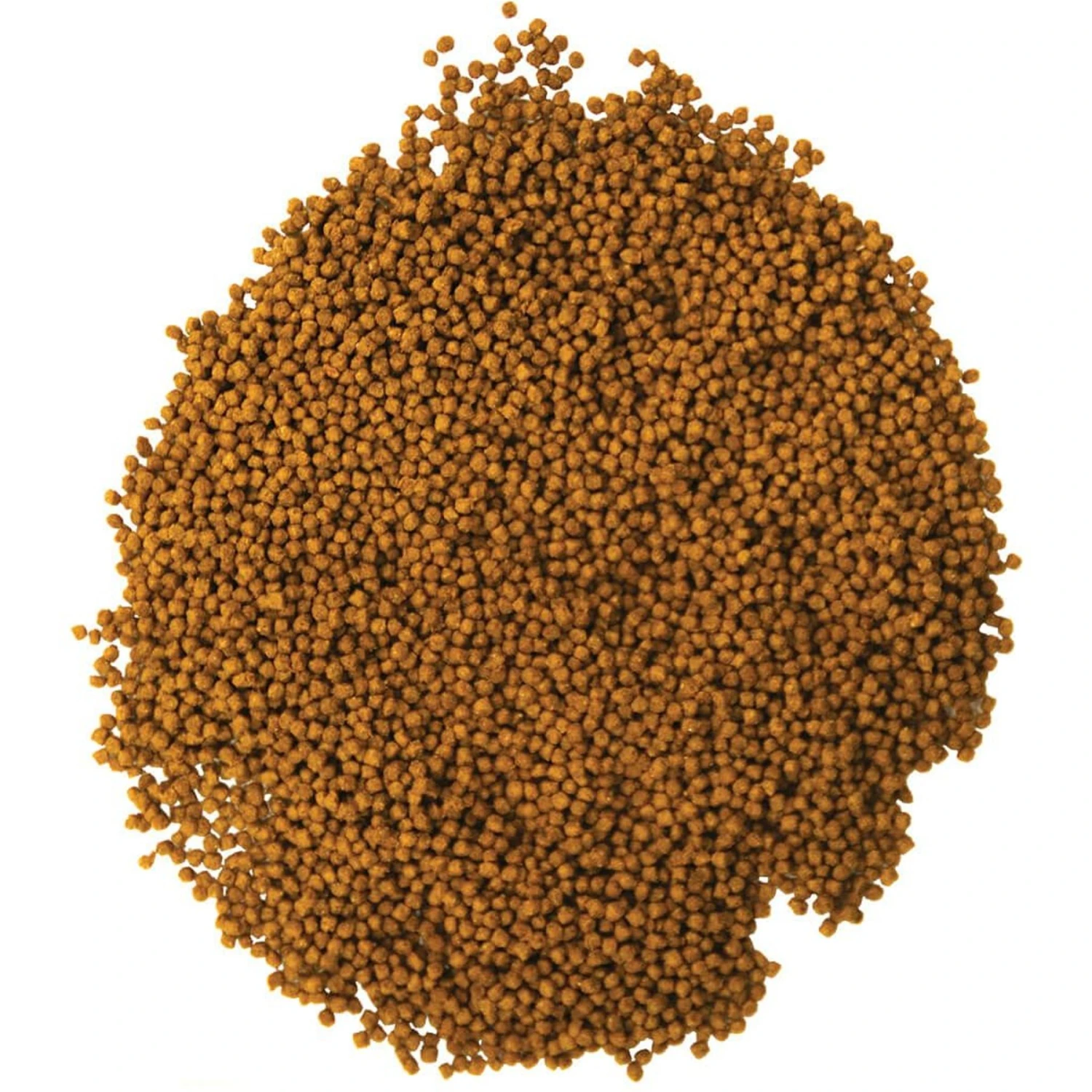Aqueon Mini Cichlid Pellet Fish Food 9 Aqueon Mini Cichlid Pellet Fish Food - Image 7