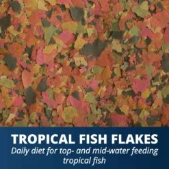 TetraMin Tropical Flakes Fish Food -Plax Penn Shop 98031 PT3. AC SS1800 V1550011580
