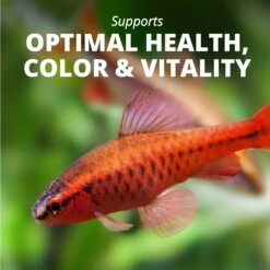 TetraMin Tropical Flakes Fish Food -Plax Penn Shop 98031 PT6. AC SS1800 V1622855615