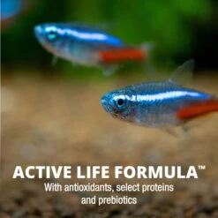 TetraMin Tropical Flakes Fish Food -Plax Penn Shop 98031 PT7. AC SS1800 V1622851090