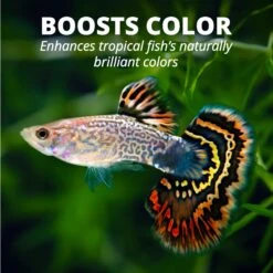 TetraMin Tropical Flakes Fish Food -Plax Penn Shop 98031 PT8. AC SS1800 V1550011581