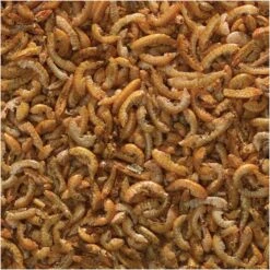 TetraMin 3 In 1 Flakes, Treats & Granules Fish Food -Plax Penn Shop 98033 PT2. AC SS1800 V1550011586