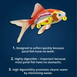 Tetra Pond Sticks Goldfish & Koi Fish Food -Plax Penn Shop 98286 PT5. AC SS1800 V1701453495