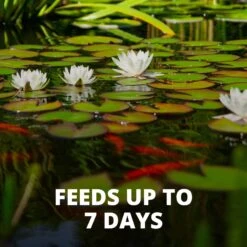 Tetra Pond Vacation Food Slow Release Feeder Block Fish Food -Plax Penn Shop 98290 PT4. AC SS1800 V1701452750