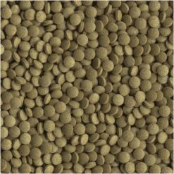 TetraMin Tropical Tablets Bottom Feeder Fish Food 11 TetraMin Tropical Tablets Bottom Feeder Fish Food -Plax Penn Shop 98533 PT2. AC SS1800 V1550011715