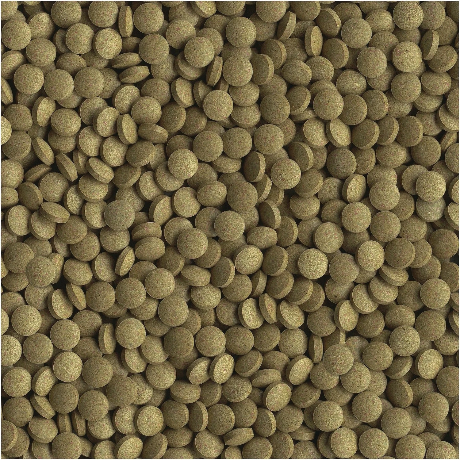 TetraMin Tropical Tablets Bottom Feeder Fish Food 5 TetraMin Tropical Tablets Bottom Feeder Fish Food - Image 3